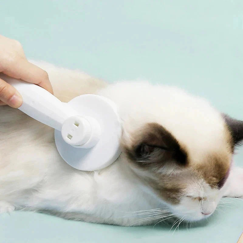 Magic Pet Hair Removal Comb
